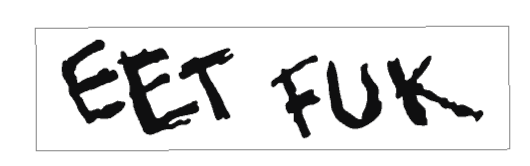 James Hetfield EET FUK Guitar Graphic Decal Set Vinyl or Waterslide