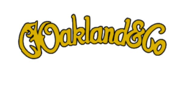 Oakland Guitar MIJ Guitar headstock Waterslide Japan