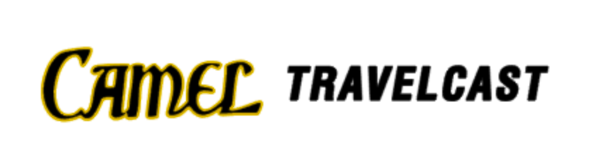 Camel Travelcast MIJ Tele Guitar headstock Waterslide Japan