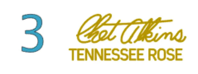 Gretsch Chet Atkins Pick Guard Decal Sign Post, Nashville, Tennessean, Tennessee Rose, and Signature
