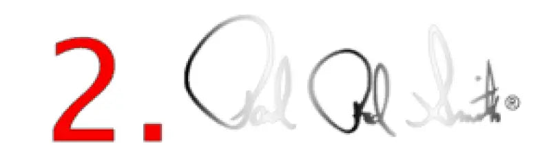 Paul Reed Smith PRS & SE Guitar Headstock Decal Logo Gold Or Silver Foil Peel And Stick - Guitar-Restore