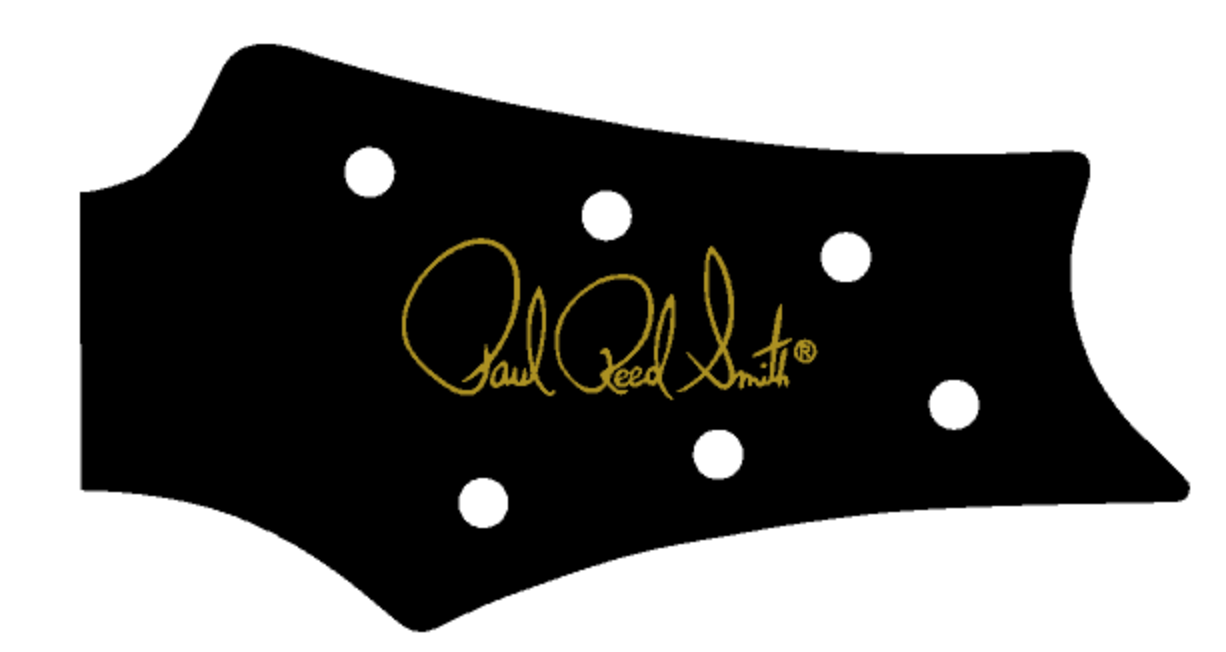 PRS Silver Sky USA Guitar Complete Headstock Overlay Decal And logo Vinyl, and Foil