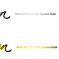 Washburn Nuno Bettencourt Guitar Headstock Decal Gold or Silver Foil Peel and Stick