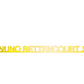 Washburn Nuno Bettencourt Guitar Headstock Decal Gold or Silver Foil Peel and Stick