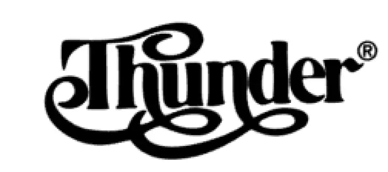 Thunder Lawsuit Les Paul Guitar Japan Headstock Decal Logo Matsumoku