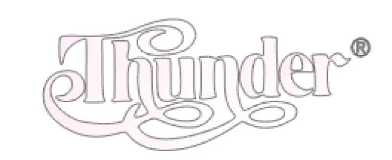 Thunder Lawsuit Les Paul Guitar Japan Headstock Decal Logo Matsumoku