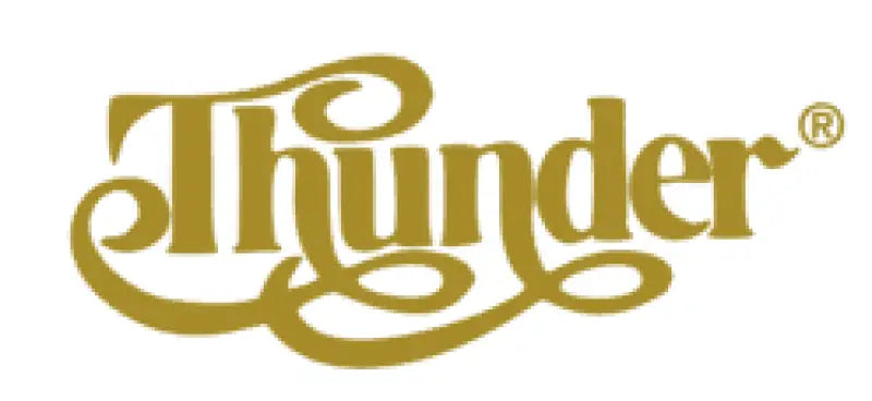 Thunder Lawsuit Les Paul Guitar Japan Headstock Decal Logo Matsumoku