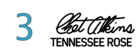 Gretsch Chet Atkins Pick Guard Decal Sign Post, Nashville, Tennessean, Tennessee Rose, and Signature