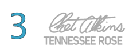 Gretsch Chet Atkins Pick Guard Decal Sign Post, Nashville, Tennessean, Tennessee Rose, and Signature