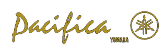 Yamaha Pacifica Guitar Headstock Decal Logo Waterslide or Foil Peel &amp; Stick 2 Versions. Thank you!