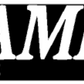Hamer Gary Moore Signature Series Headstock Decal Logo Waterslide