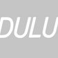 Modulus Flea Bass Guitar Headstock Decal