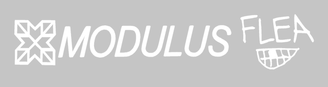 Modulus Flea Bass Guitar Headstock Decal
