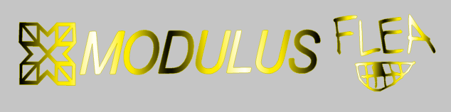 Modulus Flea Bass Guitar Headstock Decal