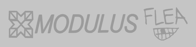 Modulus Flea Bass Guitar Headstock Decal