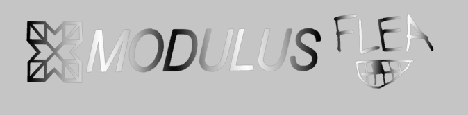 Modulus Flea Bass Guitar Headstock Decal