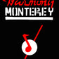 Harmony Monterey H950 H1325 H1456 Guitar Headstock Decal