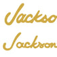 Jackson Guitar Headstock Decals Randy Rhoads Waterslide