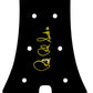 Paul Reed Smith PRS SE Guitar Headstock Decal Complete Vinyl Overlay Gold Foil Logo