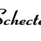 Schecter Guitar Headstock Decal Logo Waterslide Vinyl