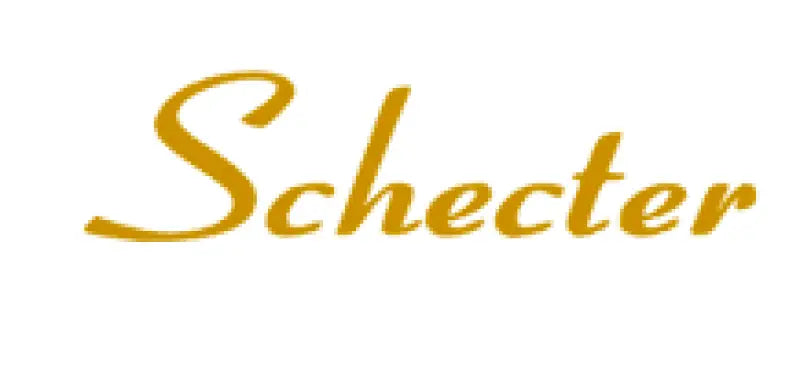 Schecter Guitar Headstock Decal Logo Waterslide Vinyl