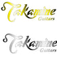 Takamine Guitars Guitar Headstock Decal Silver or Gold