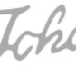 Tokai Script Guitar Headstock Decal Logo Vinyl or Foil -